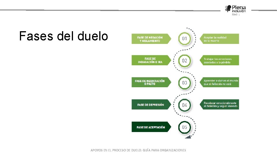 Fases del duelo APOYOS EN EL PROCESO DE DUELO. GUÍA PARA ORGANIZACIONES 