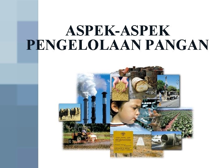 ASPEK-ASPEK PENGELOLAAN PANGAN Vilda Ana VS 