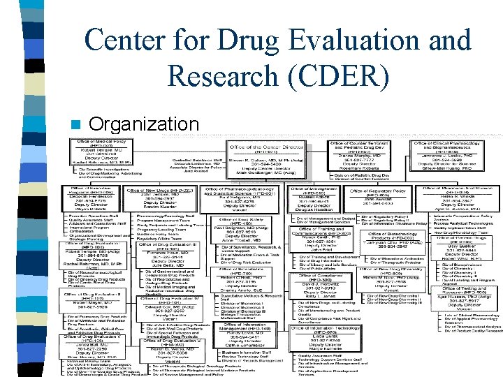 Center for Drug Evaluation and Research (CDER) n Organization 