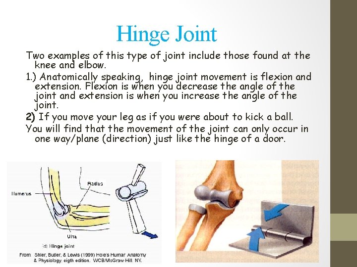 Hinge Joint Two examples of this type of joint include those found at the