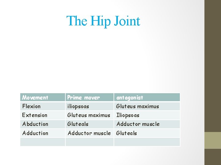 The Hip Joint Movement Prime mover antagonist Flexion iliopsoas Gluteus maximus Extension Gluteus maximus