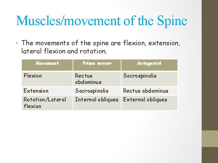 Muscles/movement of the Spine • The movements of the spine are flexion, extension, lateral