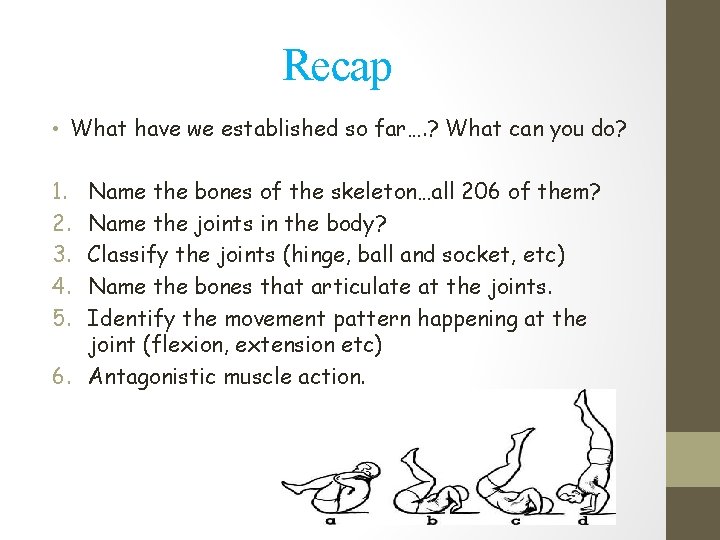 Recap • What have we established so far…. ? What can you do? 1.