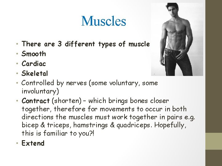 Muscles There are 3 different types of muscle Smooth Cardiac Skeletal Controlled by nerves