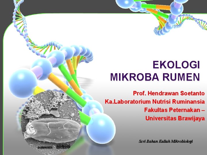 EKOLOGI MIKROBA RUMEN Prof. Hendrawan Soetanto Ka. Laboratorium Nutrisi Ruminansia Fakultas Peternakan – Universitas