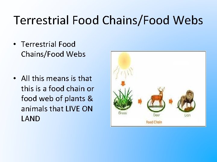 Terrestrial Food Chains/Food Webs • All this means is that this is a food