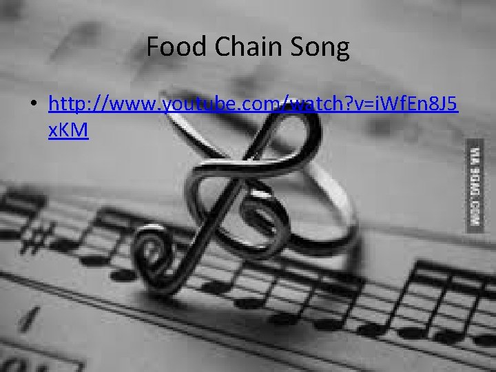 Food Chain Song • http: //www. youtube. com/watch? v=i. Wf. En 8 J 5
