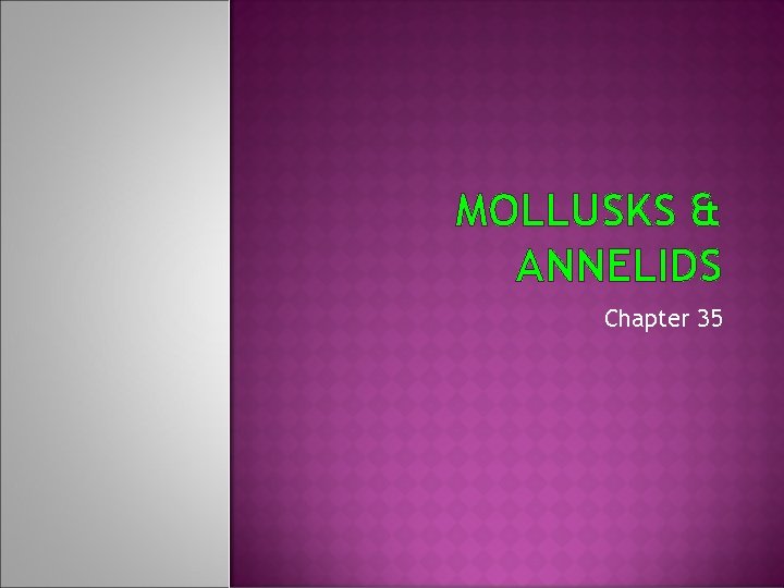 MOLLUSKS & ANNELIDS Chapter 35 