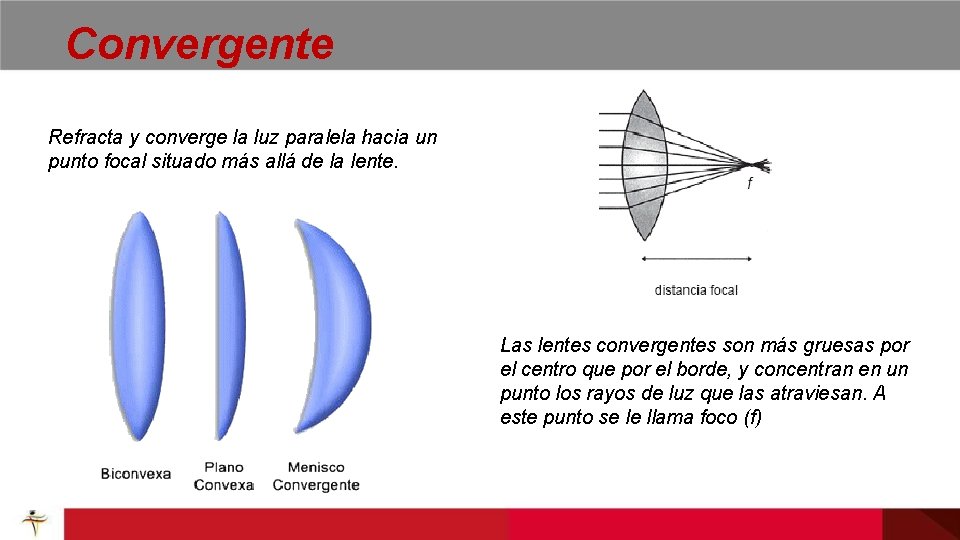Convergente Refracta y converge la luz paralela hacia un punto focal situado más allá