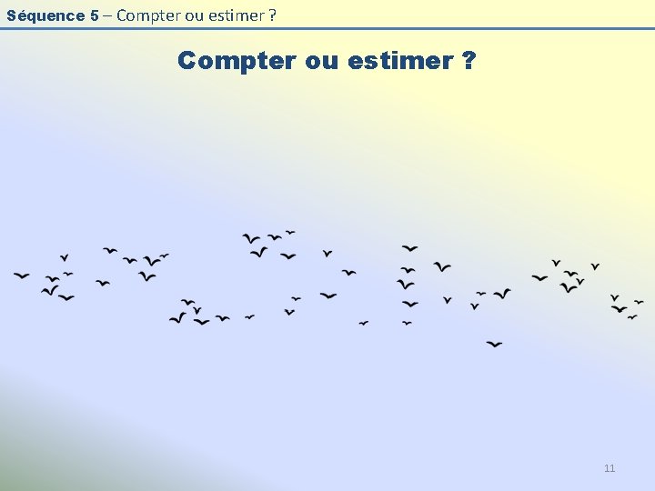 Séquence 5 – Compter ou estimer ? 11 