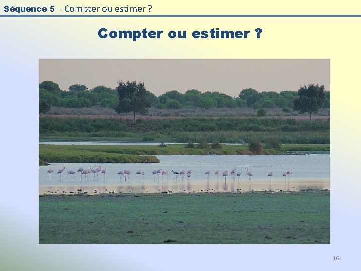 Séquence 5 – Compter ou estimer ? 16 