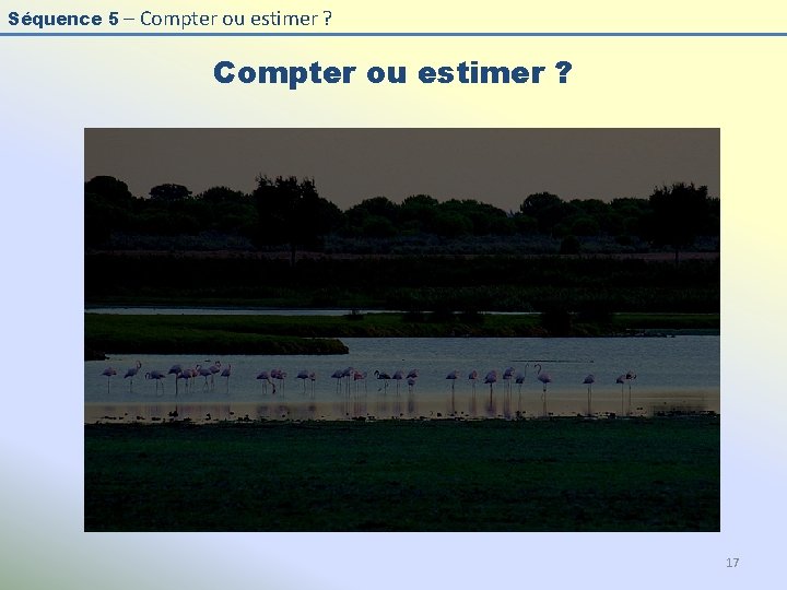 Séquence 5 – Compter ou estimer ? 17 