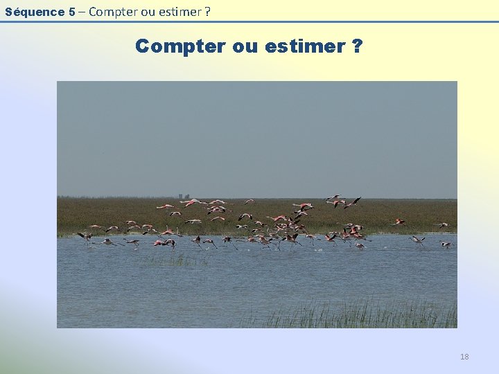 Séquence 5 – Compter ou estimer ? 18 