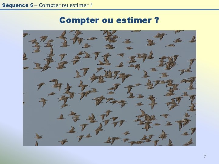 Séquence 5 – Compter ou estimer ? 7 
