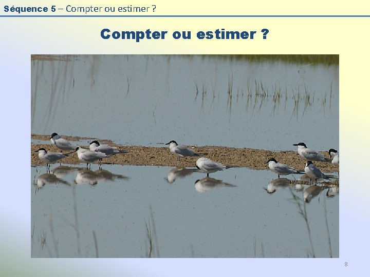 Séquence 5 – Compter ou estimer ? 8 