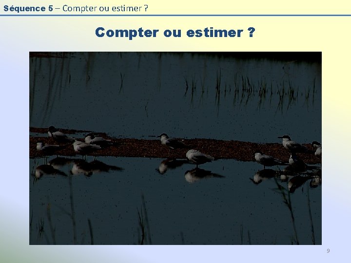 Séquence 5 – Compter ou estimer ? 9 