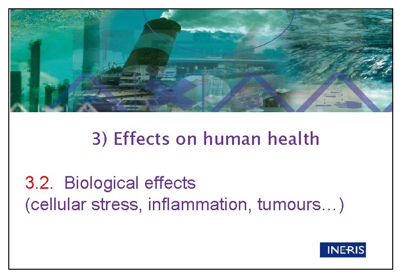 3) Effects on human health 3. 2. Biological effects (cellular stress, inflammation, tumours…) 3) Effects on human health 3. 2. Biological effects (cellular stress, inflammation, tumours…)