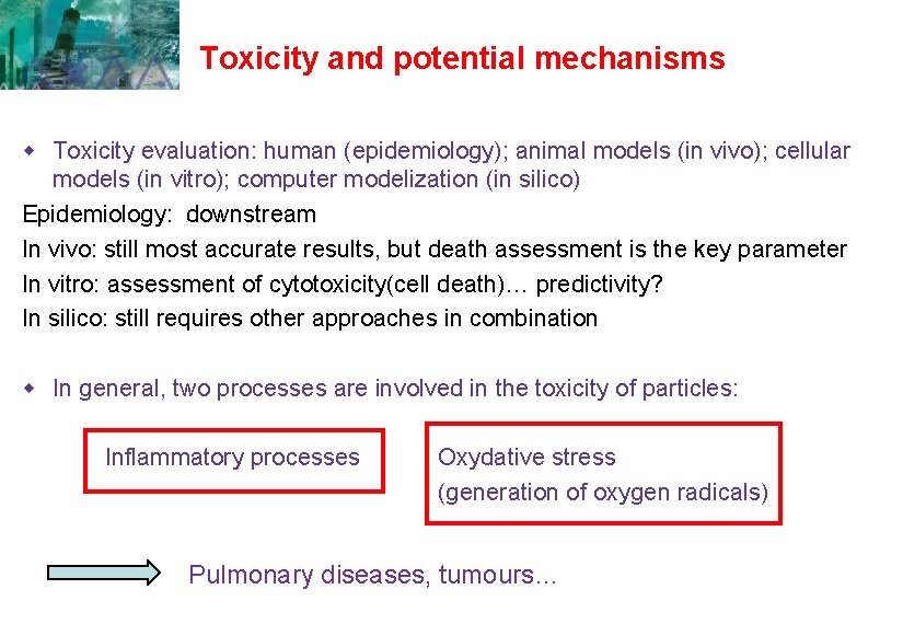 Toxicity and potential mechanisms w Toxicity evaluation: human (epidemiology); animal models (in vivo); cellular Toxicity and potential mechanisms w Toxicity evaluation: human (epidemiology); animal models (in vivo); cellular