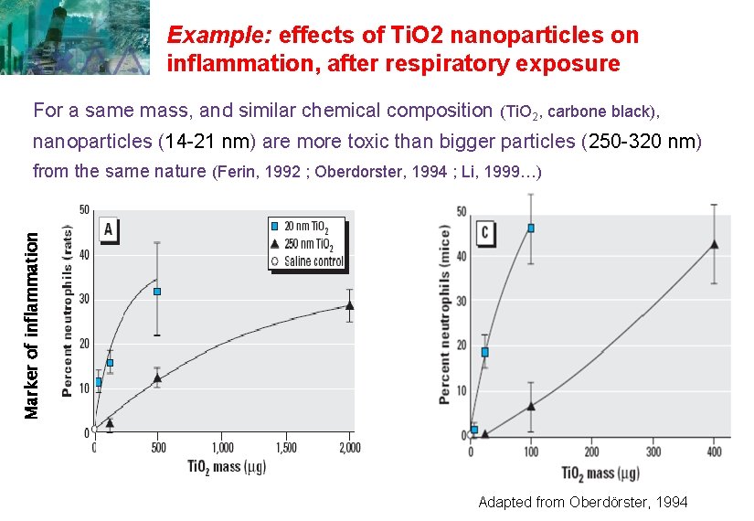 Example: effects of Ti. O 2 nanoparticles on inflammation, after respiratory exposure For a Example: effects of Ti. O 2 nanoparticles on inflammation, after respiratory exposure For a