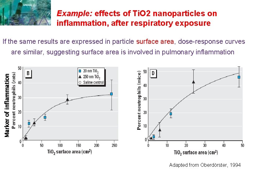 Example: effects of Ti. O 2 nanoparticles on inflammation, after respiratory exposure If the Example: effects of Ti. O 2 nanoparticles on inflammation, after respiratory exposure If the