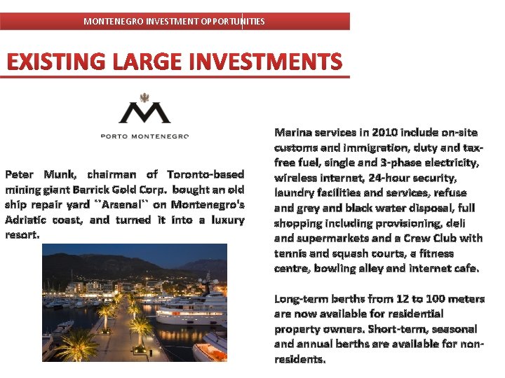 MONTENEGRO INVESTMENT OPPORTUNITIES EXISTING LARGE INVESTMENTS Peter Munk, chairman of Toronto-based mining giant Barrick