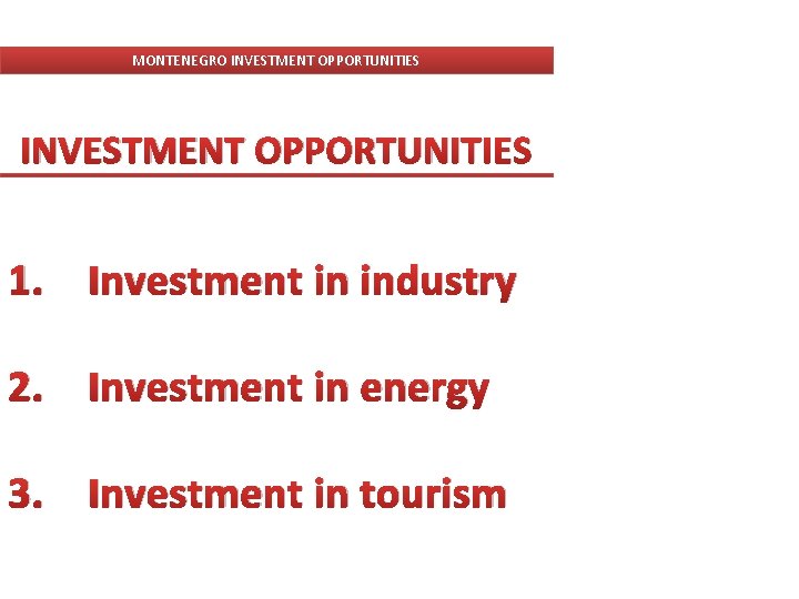 MONTENEGRO INVESTMENT OPPORTUNITIES 1. Investment in industry 2. Investment in energy 3. Investment in