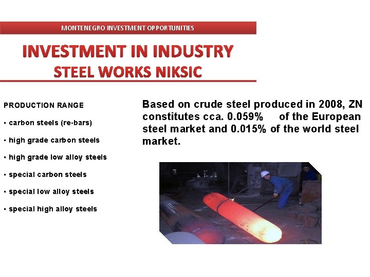 MONTENEGRO INVESTMENT OPPORTUNITIES INVESTMENT IN INDUSTRY STEEL WORKS NIKSIC PRODUCTION RANGE • carbon steels