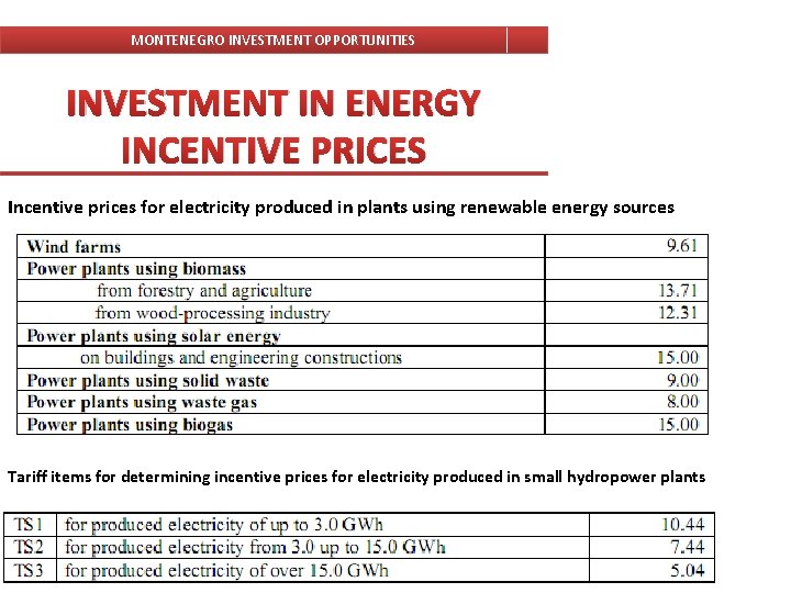 MONTENEGRO INVESTMENT OPPORTUNITIES INVESTMENT IN ENERGY INCENTIVE PRICES Incentive prices for electricity produced in