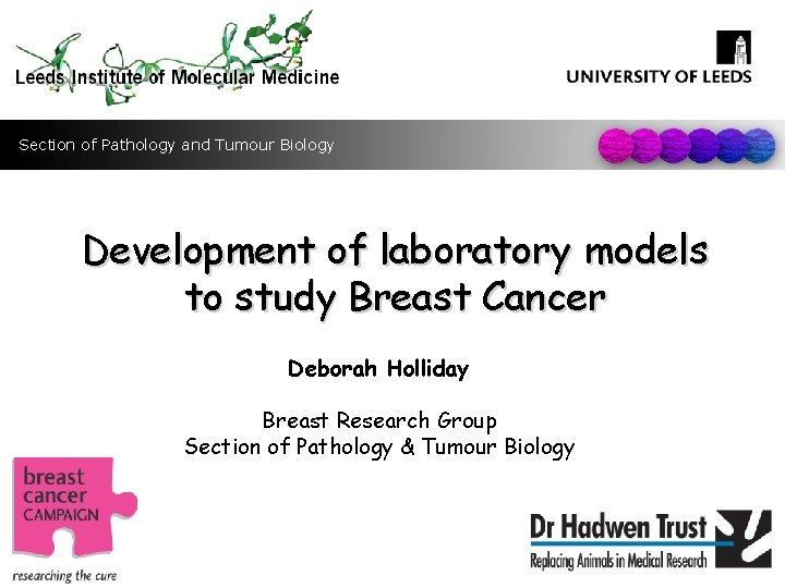 Section of Pathology and Tumour Biology Development of laboratory models to study Breast Cancer