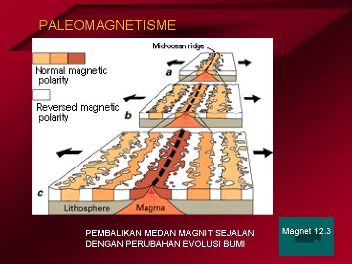 PALEOMAGNETISME PEMBALIKAN MEDAN MAGNIT SEJALAN DENGAN PERUBAHAN EVOLUSI BUMI Magnet 12. 3 