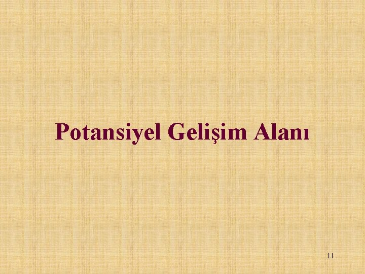 Potansiyel Gelişim Alanı 11 