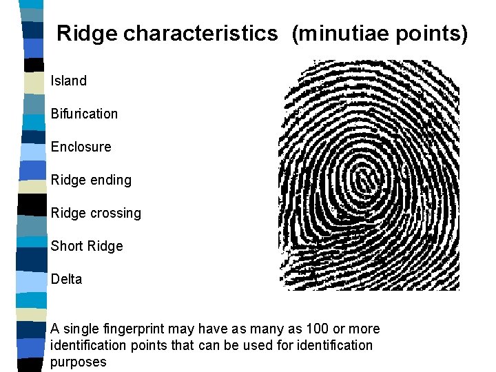 Ridge characteristics (minutiae points) Island Bifurication Enclosure Ridge ending Ridge crossing Short Ridge Delta