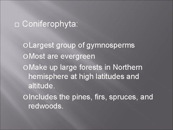  Coniferophyta: Largest group of gymnosperms Most are evergreen Make up large forests in