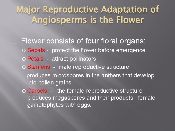 Major Reproductive Adaptation of Angiosperms is the Flower consists of four floral organs: Sepals