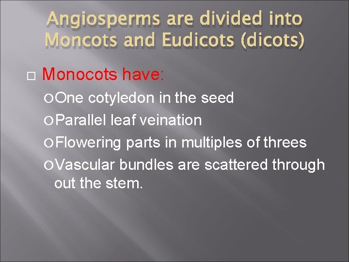 Angiosperms are divided into Moncots and Eudicots (dicots) Monocots have: One cotyledon in the