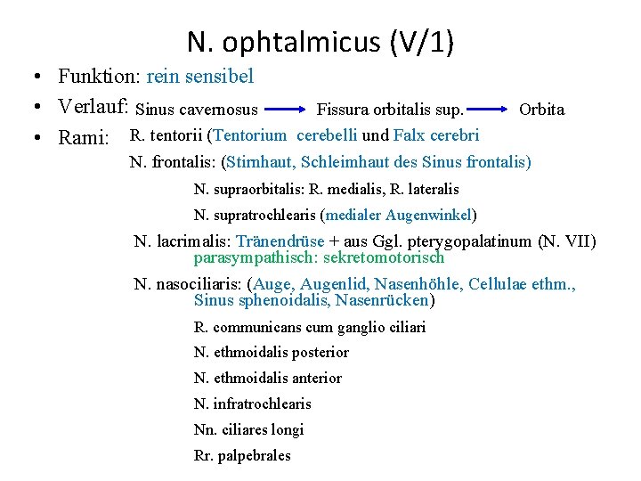 N. ophtalmicus (V/1) • Funktion: rein sensibel • Verlauf: Sinus cavernosus Fissura orbitalis sup.
