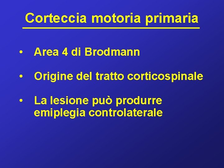 Corteccia motoria primaria • Area 4 di Brodmann • Origine del tratto corticospinale •