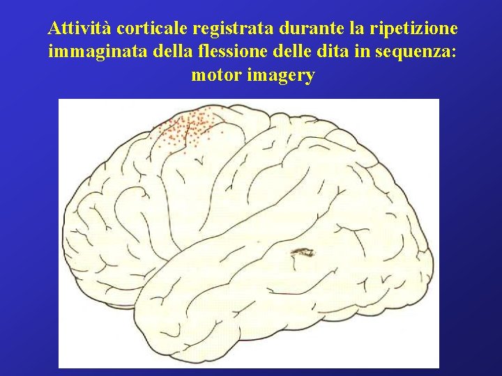 Attività corticale registrata durante la ripetizione immaginata della flessione delle dita in sequenza: motor