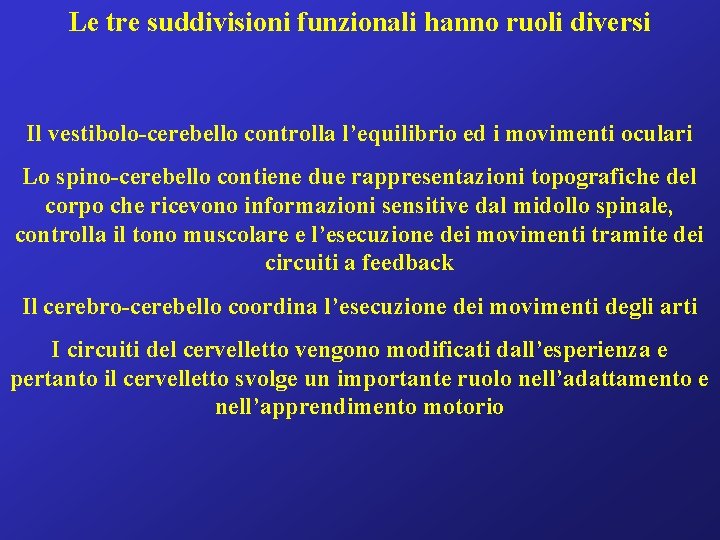 Le tre suddivisioni funzionali hanno ruoli diversi Il vestibolo-cerebello controlla l’equilibrio ed i movimenti