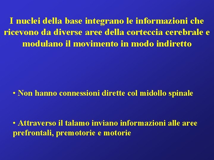 I nuclei della base integrano le informazioni che ricevono da diverse aree della corteccia