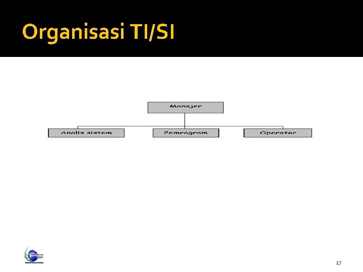 Organisasi TI/SI 17 