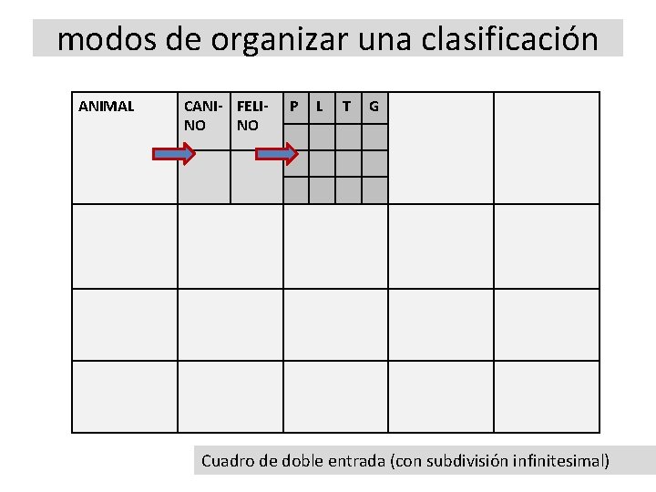 modos de organizar una clasificación ANIMAL CANI- FELINO NO P L T G Cuadro