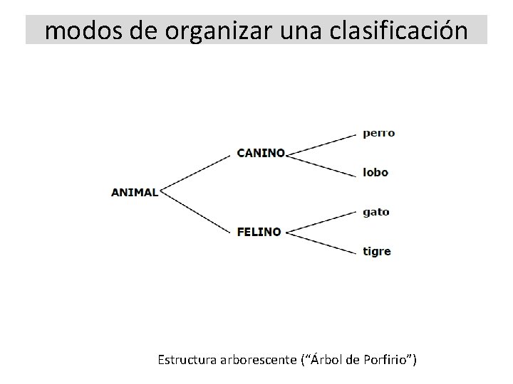 modos de organizar una clasificación Estructura arborescente (“Árbol de Porfirio”) 