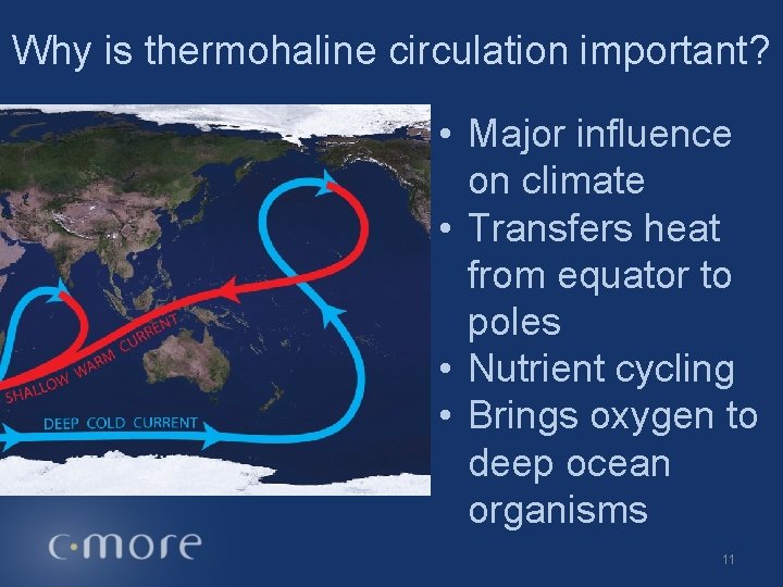 Why is thermohaline circulation important? • Major influence on climate • Transfers heat from