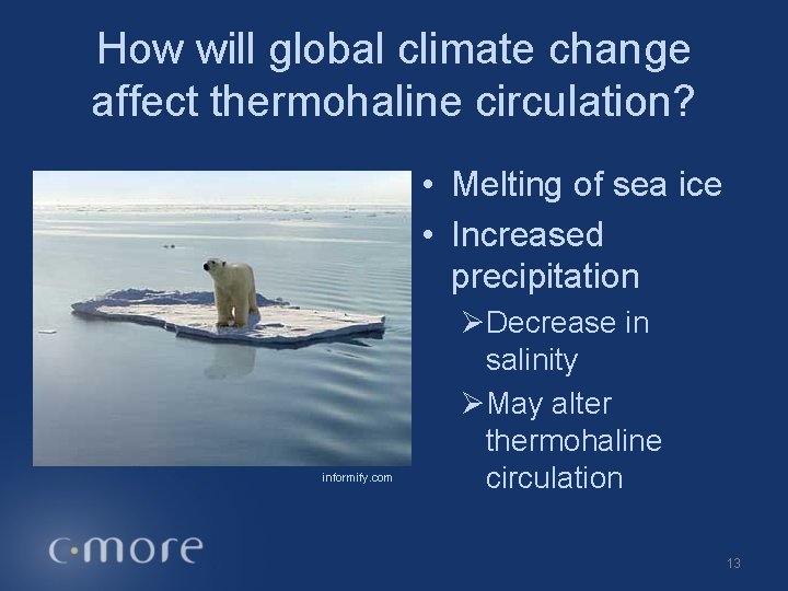 How will global climate change affect thermohaline circulation? • Melting of sea ice •