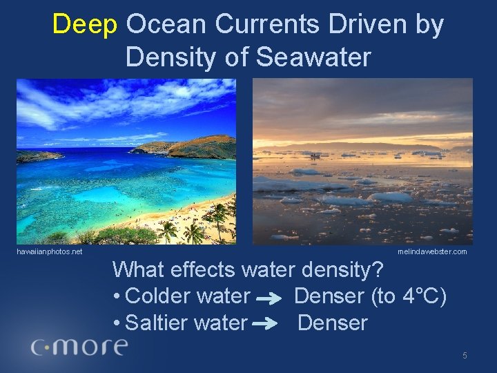 Deep Ocean Currents Driven by Density of Seawater hawaiianphotos. net melindawebster. com What effects