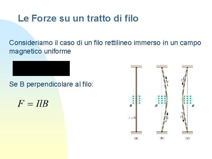 Le Forze su un tratto di filo Consideriamo il caso di un filo rettilineo