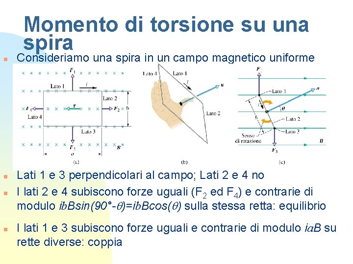 Momento di torsione su una spira n n Consideriamo una spira in un campo