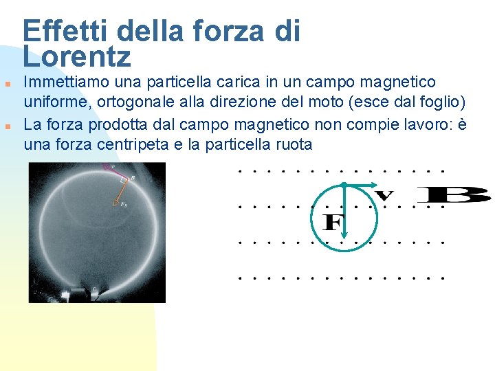 Effetti della forza di Lorentz n n Immettiamo una particella carica in un campo