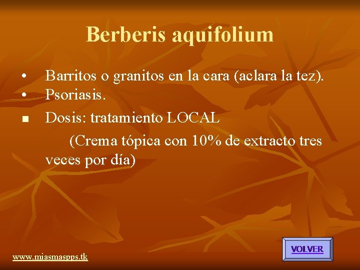 Berberis aquifolium • • Barritos o granitos en la cara (aclara la tez). Psoriasis. Berberis aquifolium • • Barritos o granitos en la cara (aclara la tez). Psoriasis.